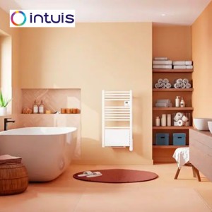 Sèche-serviettes électrique soufflant blanc 750W+1000W Ezybain nativ - INTUIS M245416