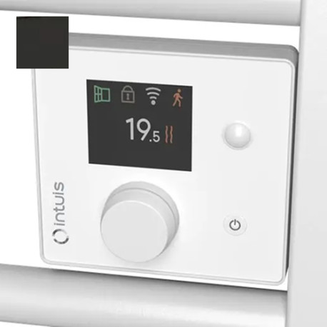 Sèche-serviettes électrique soufflant 750W+1000W Ezybain nativ noir - INTUIS M245426