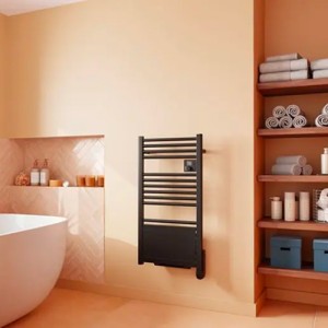 Sèche-serviettes électrique soufflant 750W+1000W Ezybain nativ noir - INTUIS M245426