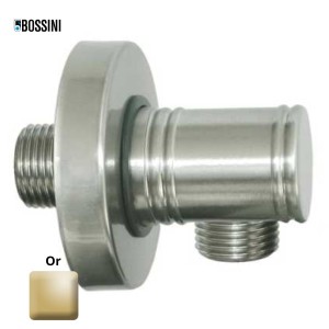 Raccord mural avec rosace 1/2"M NPT Liberty Or - Bossini V00223021