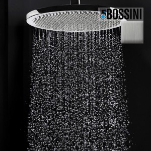Ensemble pomme de tête douche 280mm bras vertical nickel brossé Apice - Bossini H31430D094