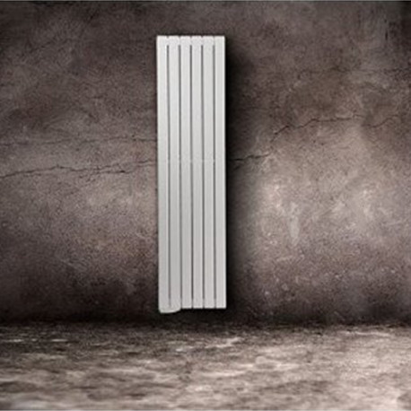 Radiateur électrique à fluide caloporteur vertical 1000W TAMARI - FINIMETAL 3634007