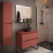 Meuble salle de bains et plan de toilette 90cm 2 tiroirs Red Satin NOJA - SALGAR 105503
