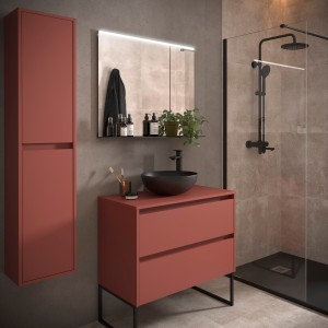 Meuble salle de bains et plan de toilette 90cm 2 tiroirs Red Satin NOJA - SALGAR 105503