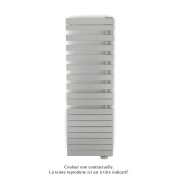 Acova Radiateur sèche-serviettes 1000W Fassane Spa avec télécommande