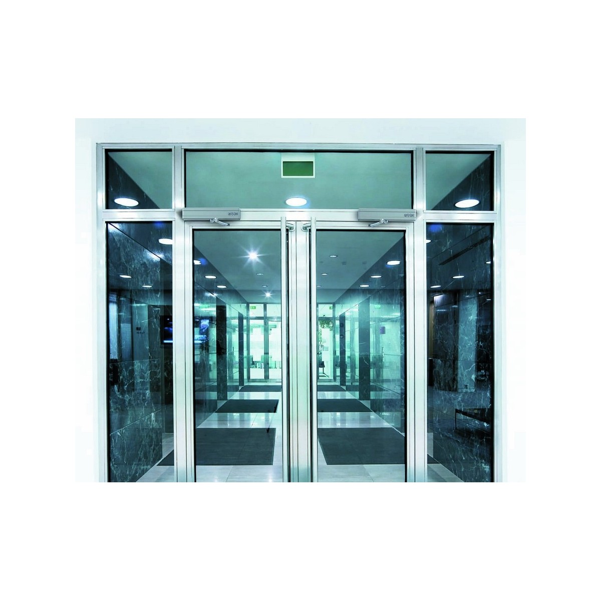 Box 950n avec bras a pousser - FAAC BOX950PV2 