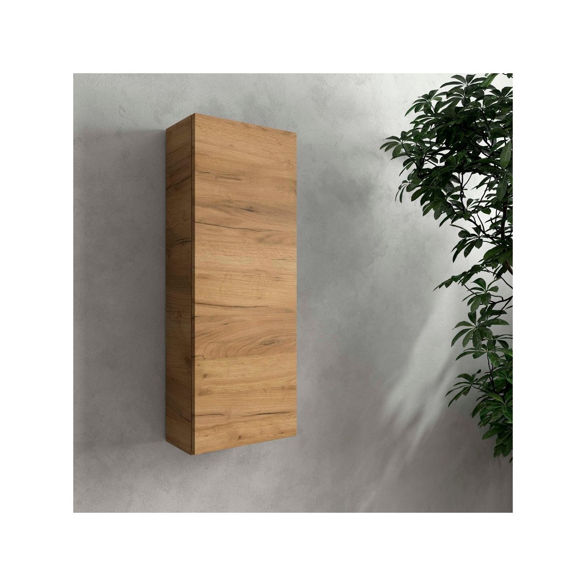 Module INFINITY 300 1 porte Chêne Africain H800 P160 - SALGAR 117880 