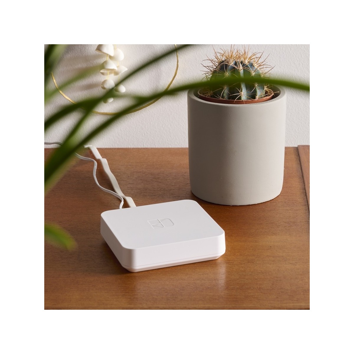 Pack RF 6600 FP connecté 3 récepteurs + 1 box connectée Tydom Home - DELTADORE 6050658 