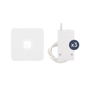 Pack RF 6600 FP connecté 3 récepteurs + 1 box connectée Tydom Home - DELTADORE 6050658 