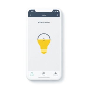 Equipement sans fil pour éclairage connecté ou interrupteur connecté TYXIA 5610 DELTADORE - 6351400 