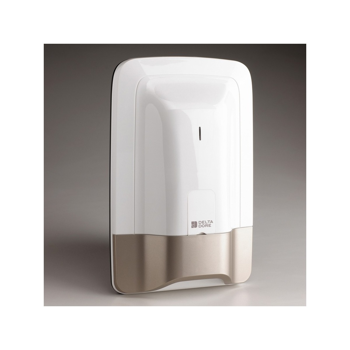 Centrale sirène 8 zones Radio - CS 8000 TYXAL+ Delta Dore 6411120 