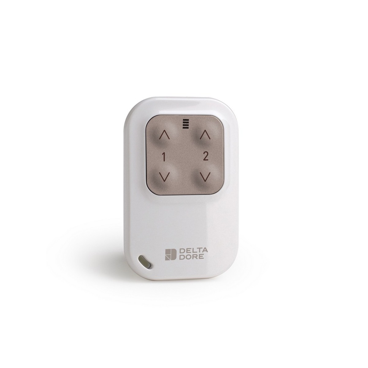 TYXIA 1400 Télécommande pour centraliser des automatismes et éclairages extérieurs 