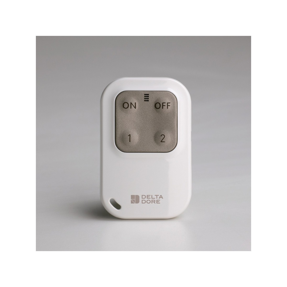 Télécommande Radio TL 2000 TYXAL+ Delta Dore 6413251 