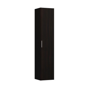 Armoire haute avec porte base 165 orme fo - LAUFEN H4026721102631 