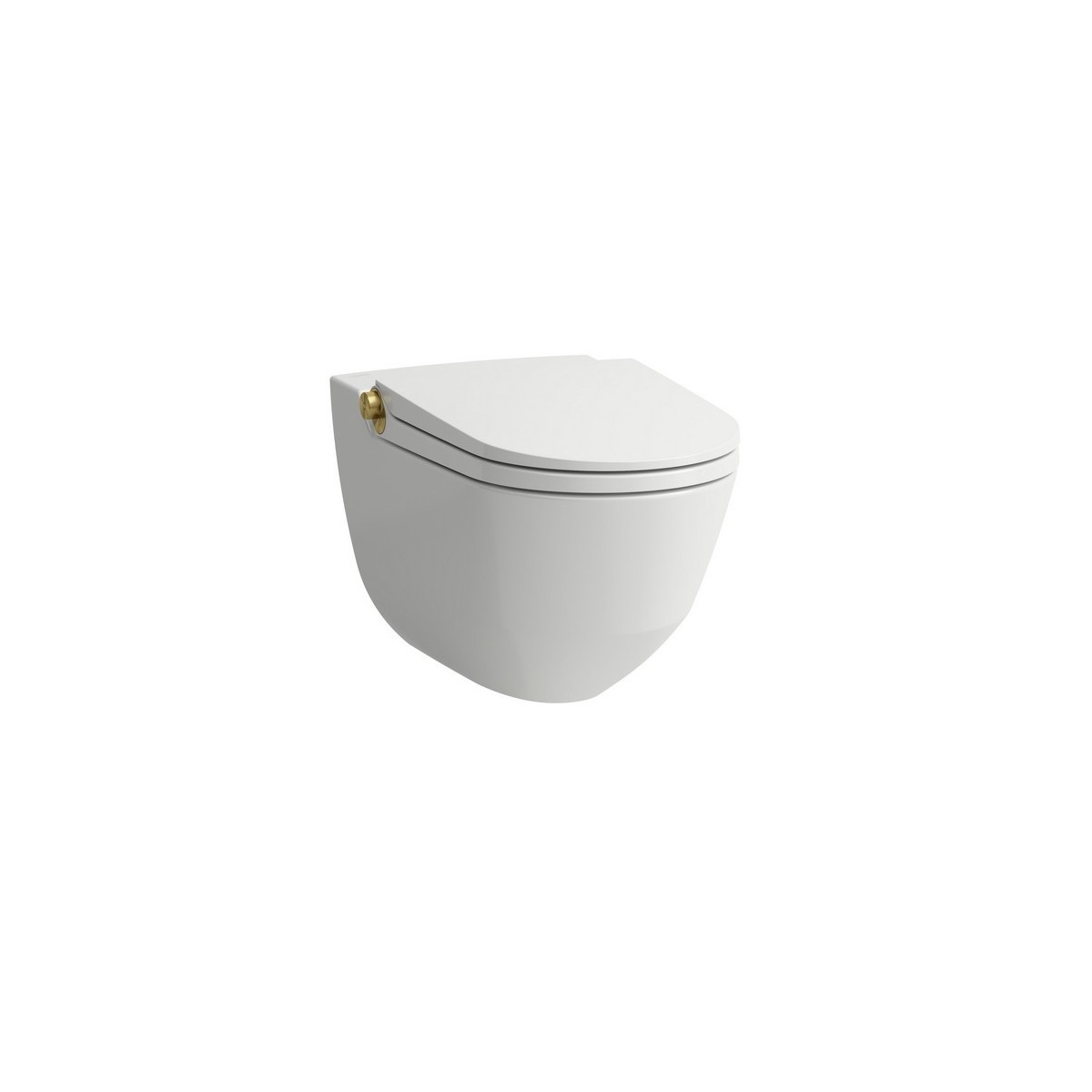 Riva wc lavant avec abattant, couleurs: céramique blanc mat, bouton gold brossé - LAUFEN H8206917620001 