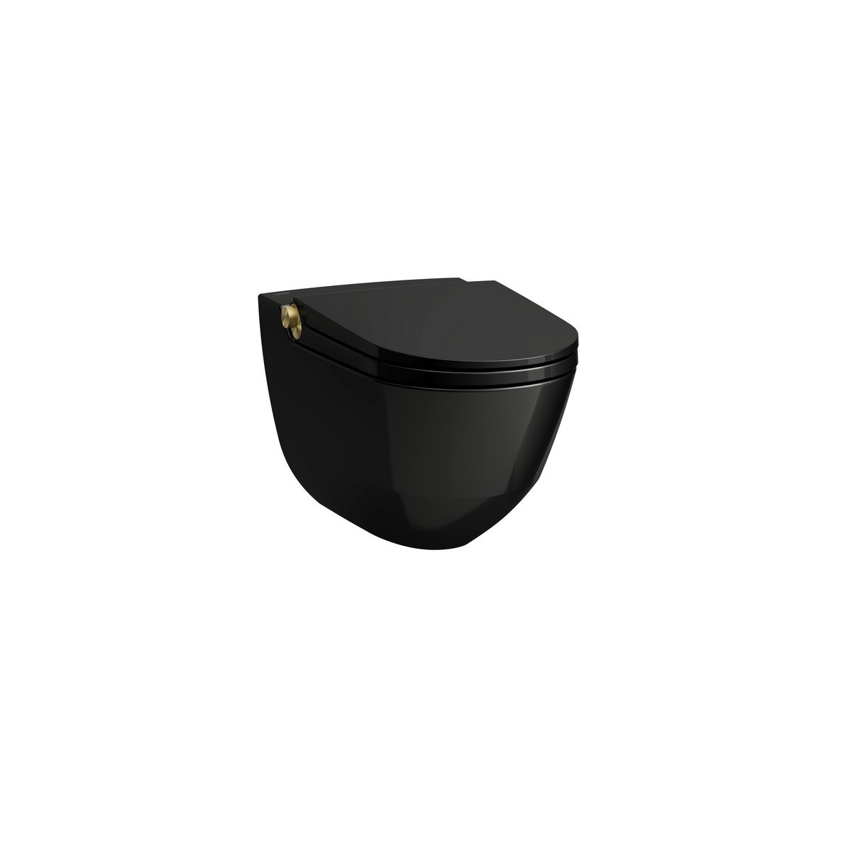 Riva wc lavant avec abattant céramique noir brillant, bouton gold pâle mat - LAUFEN H8206910230001 