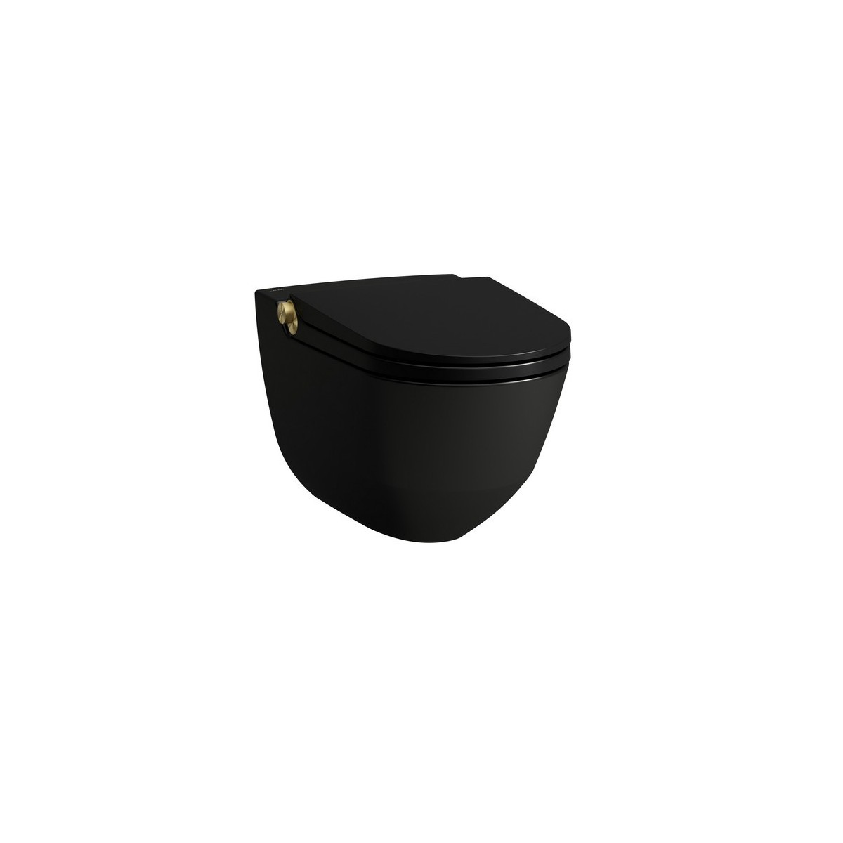 Riva wc lavant avec abattant, couleurs: céramique noir mat, bouton gold pâle mat - LAUFEN H8206917180001 