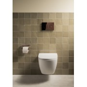 Pl10 one dual rose gold - ROCA A8901890RG 