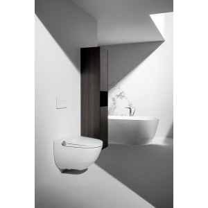 Armoire Haute Avec Porte Base 165 Mcolor - LAUFEN H4027021109991 