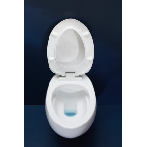 Wc sus cd ss br alessi 59 blmt - LAUFEN H8209717570001 