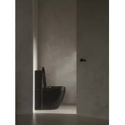 Meridian cuvette au sol rimless vortex dual noir mat 630x360mm - ROCA A342747080 