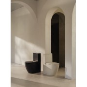 Meridian abattant frein de chute déclipsable en urea charnières en acier inoxy - ROCA A801F92001 