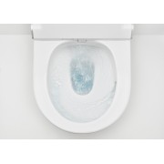 Toilette lavante IN WASH Inspira avec In Tank au sol - ROCA A803095001 