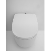 In-wash in-tank insignia wc lavant suspendu - ROCA A803104001 