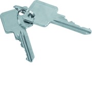 Kit de 2 clés, Accessoire, pour profil semi cylindrique ZAY50994 - HAGER ZAY50995 