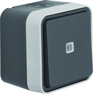 Bouton poussoir 1O/1F lumineux cubyko étanche IP55 gris pose en saillie - HAGER WNC021 