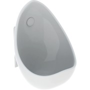 Pack urinoir Geberit Aubagne alim. apparente sortie apparente 325 x 280 x 390 mm - GEBERIT 08363900000300 