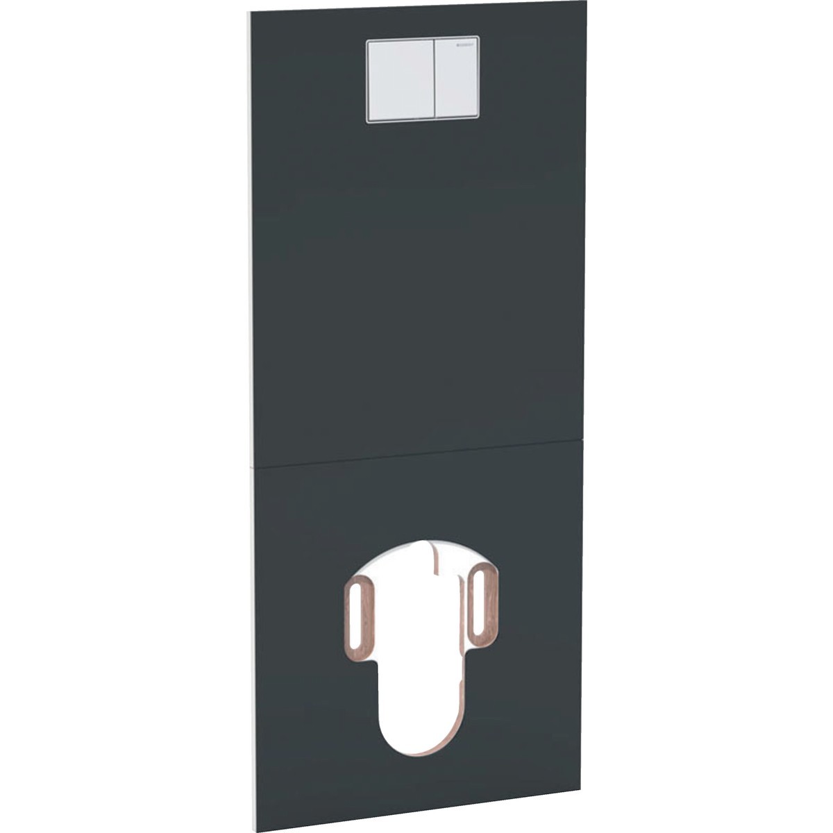 Plaque design pour WC complet Geberit AquaClean Noir Verre - GEBERIT 115.328.SJ.1 