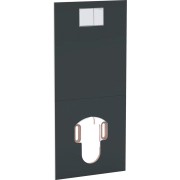 Plaque design pour WC complet Geberit AquaClean Noir Verre - GEBERIT 115.328.SJ.1 