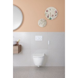 WC complet suspendu Geberit AquaClean Alba blanc alpin - GEBERIT 146.350.01.1 