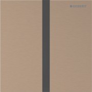 Commande d'urinoir Geberit électronique secteur type 40 square or rouge - GEBERIT 116.227.QB.1 