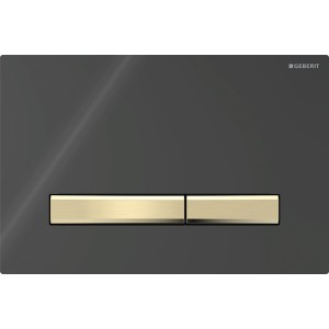 Plaque Geberit Sigma50 carrée DT laiton noir - GEBERIT 115.672.DW.2 