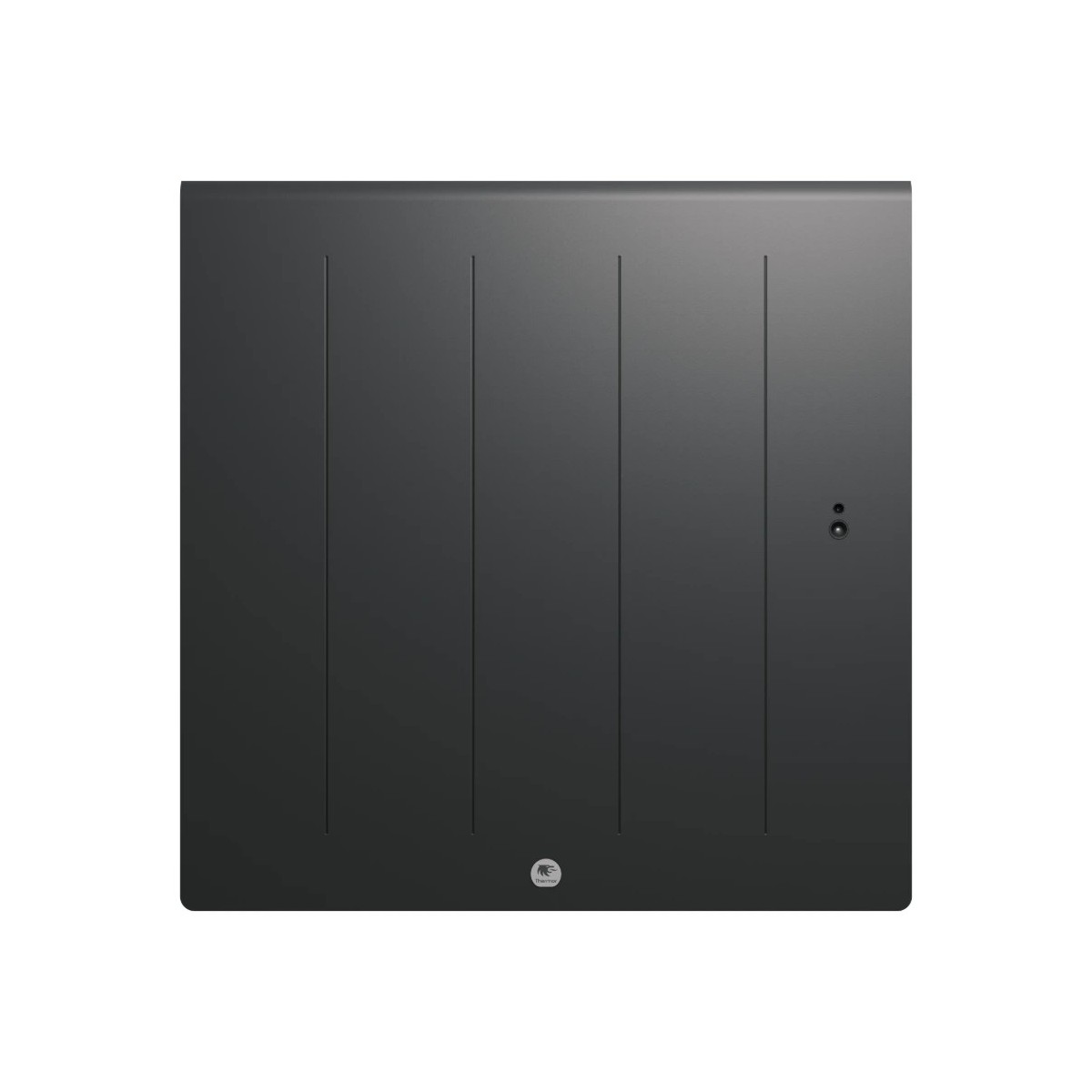 Radiateur electrique Fonte chaleur douce KENYA 5 Horizontal 1000W Gris - THERMOR 414734