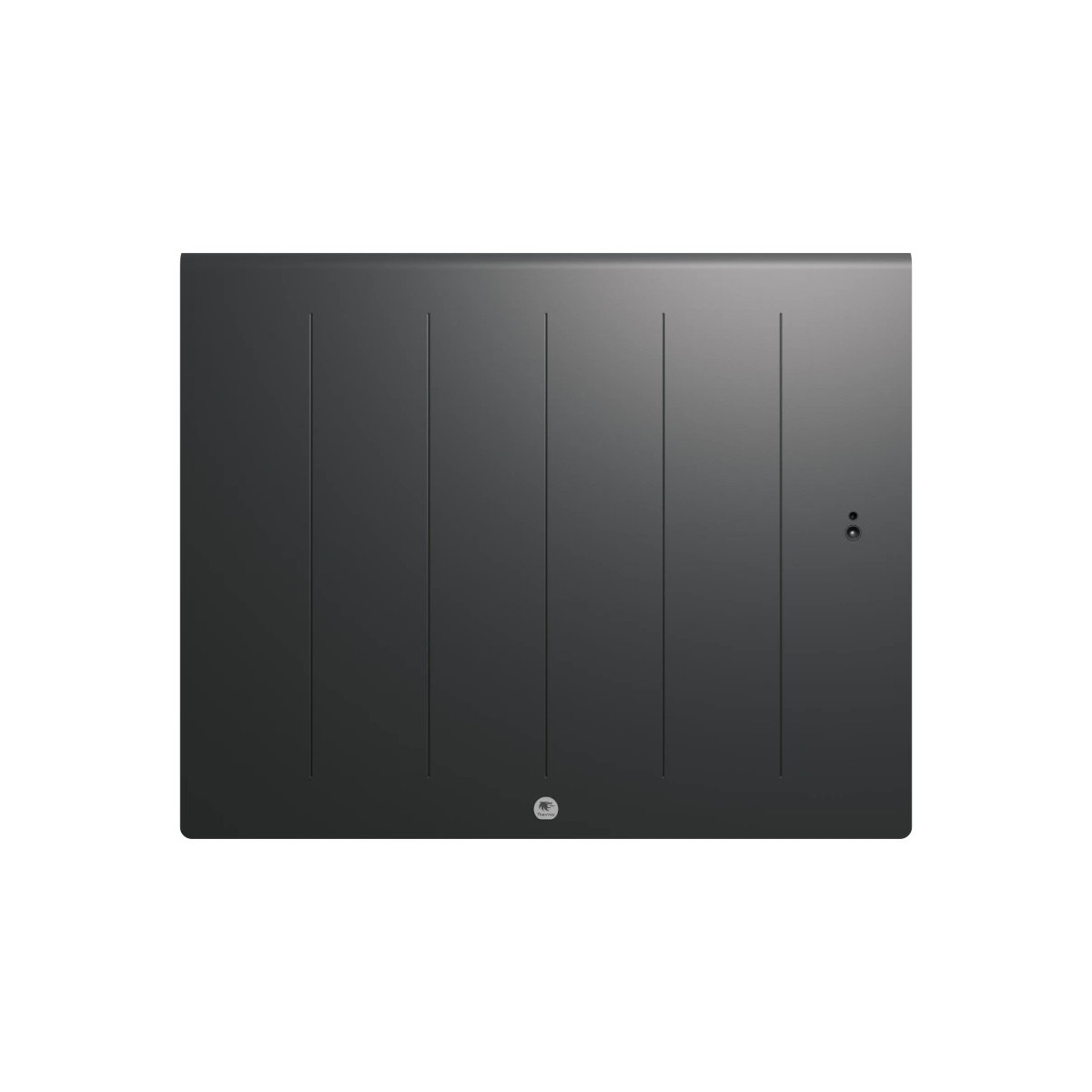 Radiateur electrique Fonte chaleur douce KENYA 5 Horizontal 1250W Gris - THERMOR 414735