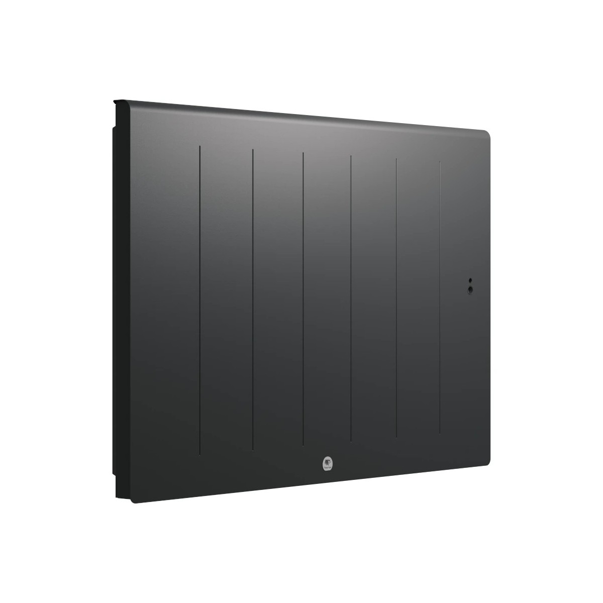 Radiateur Fonte électrique THERMOR KENYA 5 Horizontal