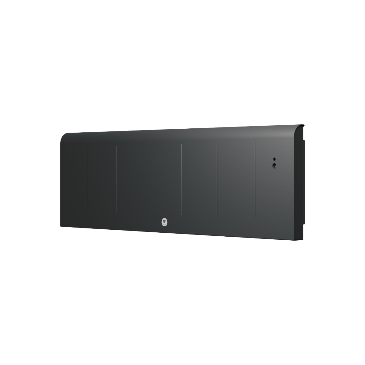 Radiateur electrique Fonte chaleur douce KENYA 5 Plinthe 1000W Gris - THERMOR 414742