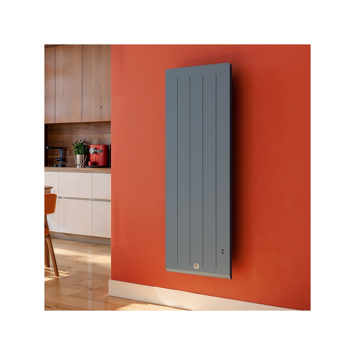 Thermor Radiateur vertical electrique Fonte chaleur douce KENYA 5 Gris
