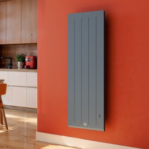 Thermor Radiateur vertical electrique Fonte chaleur douce KENYA 5 Gris