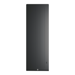 Radiateur electrique Fonte chaleur douce KENYA 5 Vertical 1000W Gris - THERMOR 414747