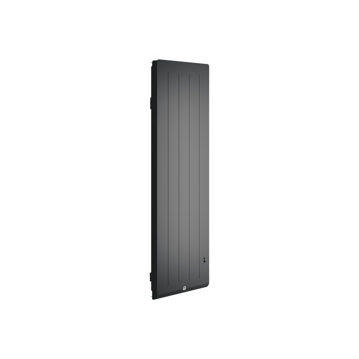 Radiateur electrique Fonte chaleur douce KENYA 5 Vertical 1000W Gris - THERMOR 414747