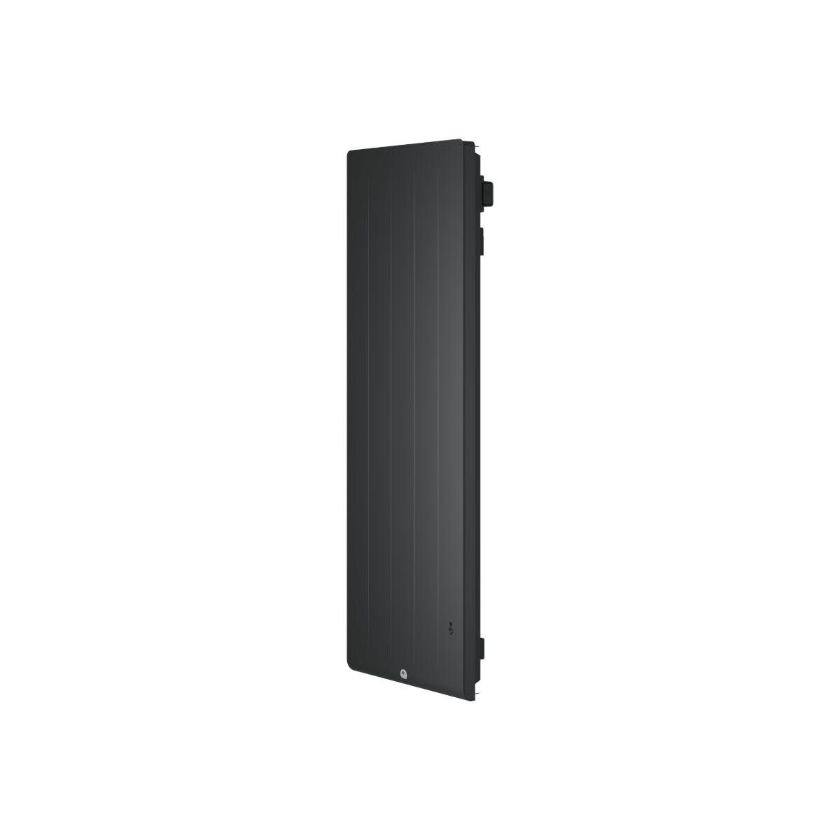 Radiateur electrique Fonte chaleur douce KENYA 5 Vertical 1000W Gris - THERMOR 414747