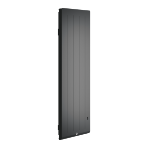 Radiateur electrique Fonte chaleur douce KENYA 5 Vertical 1500W Gris - THERMOR 414748