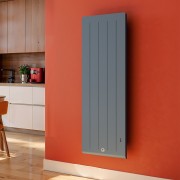 Thermor Radiateur vertical electrique Fonte chaleur douce KENYA 5 Gris