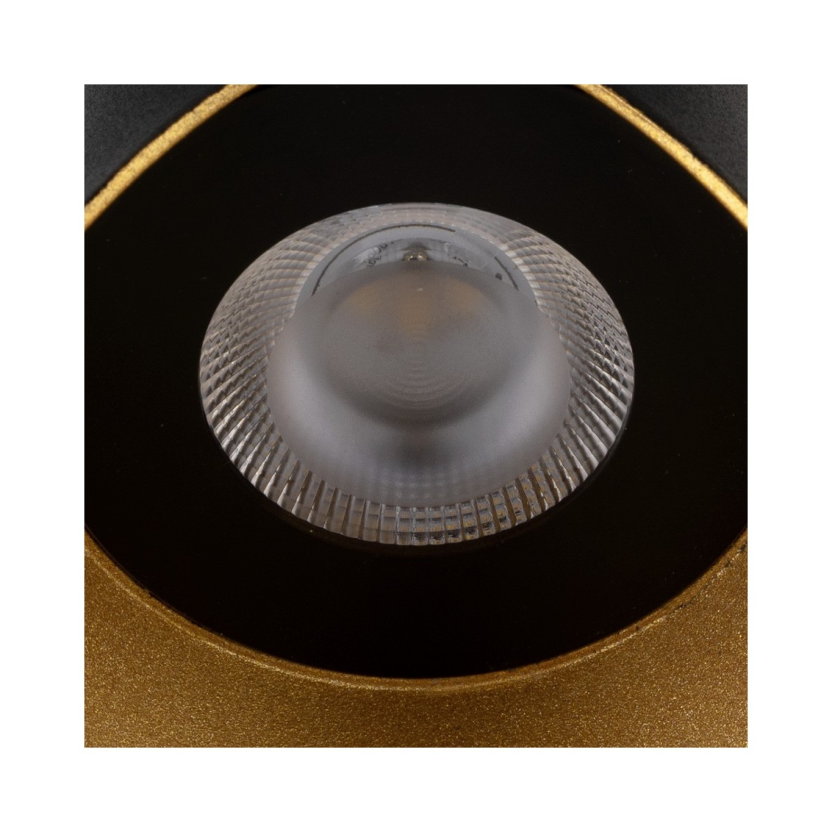 Appliques extérieures LED SLV MODELA up down 10W CCT noir or