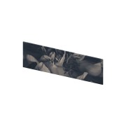 Crédence murale Kinewall Crédence 3 mm 101x30 floral - KINEDO CM02910 