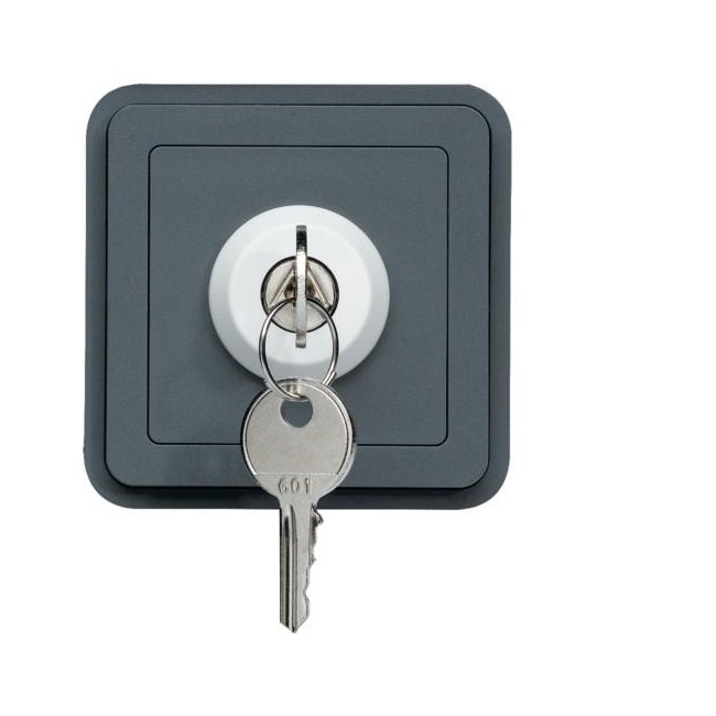 cubyko Int clé 3P assoc. gris HAGER WNA036